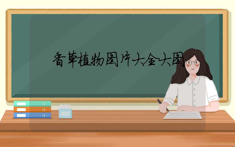  香草植物图片大全大图